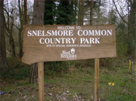 Snelsmore Common Newbury